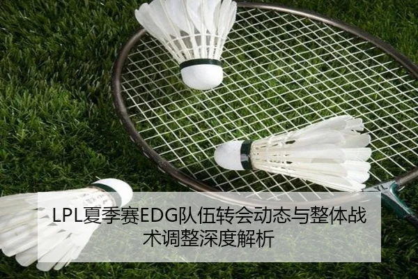 LPL夏季赛EDG队伍转会动态与整体战术调整深度解析
